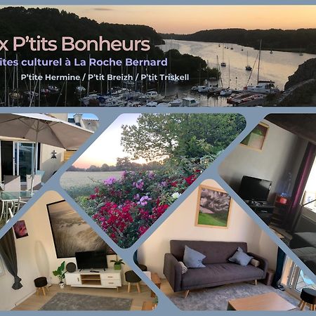 Au pt’it bonheur, Gîte culturel à la Roche Bernard Férel Extérieur photo