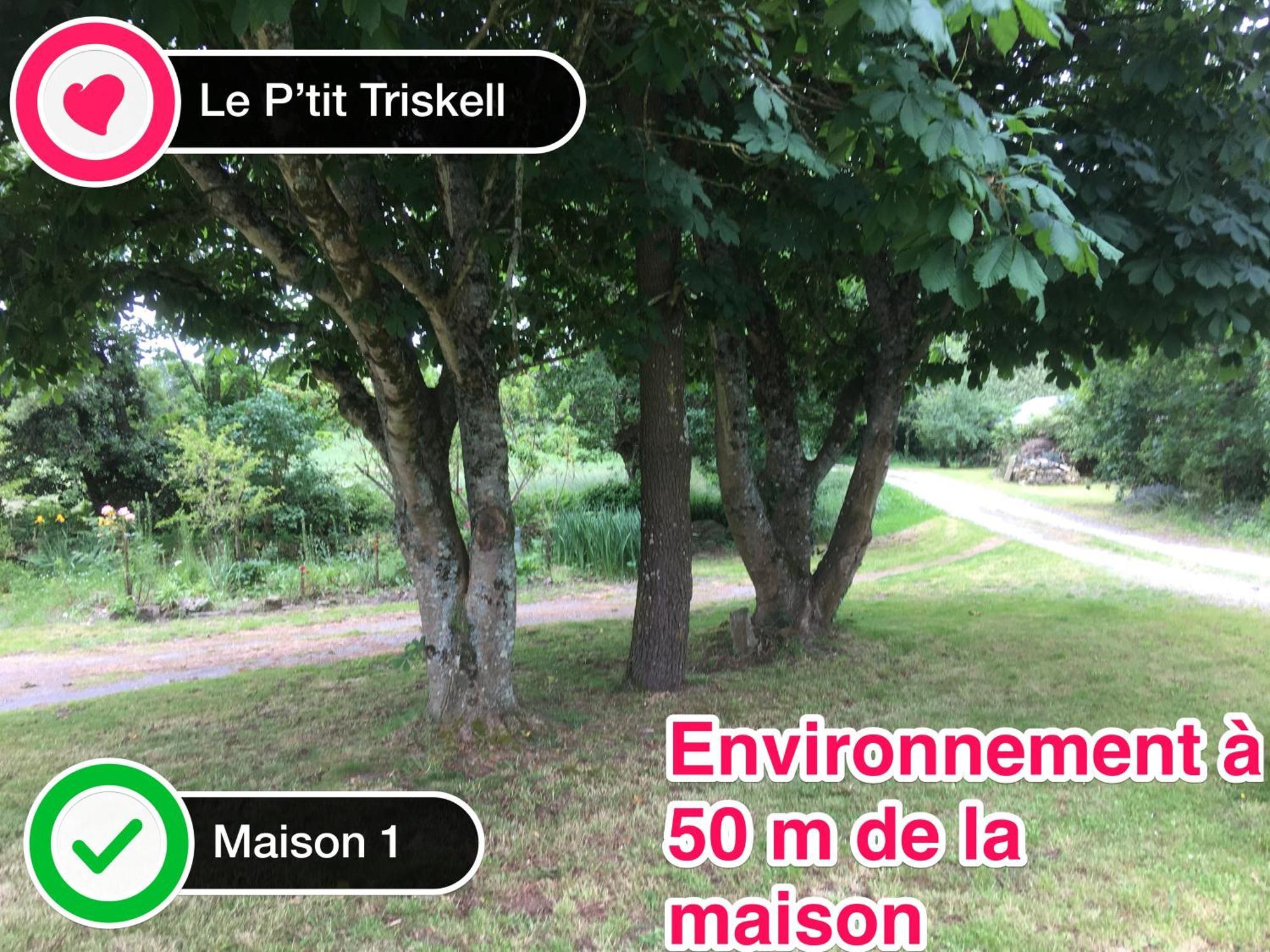 Au pt’it bonheur, Gîte culturel à la Roche Bernard Férel Extérieur photo